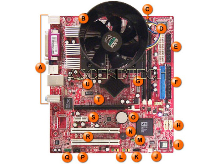 Back panel connector of motherboard battery