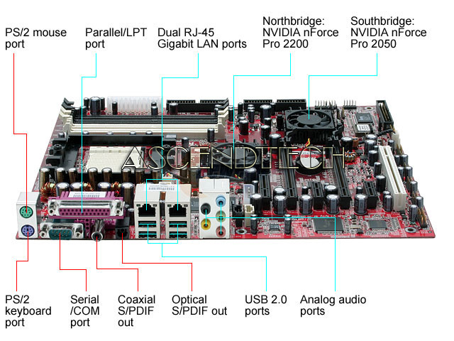 NFPIK8AA-8EKRSa.jpg