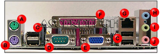 Rear panel ports