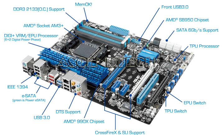 Asus M5A99X EVO Socket AM3 DDR3 AMD 990X USB 3 0 ATX Desktop Motherboard